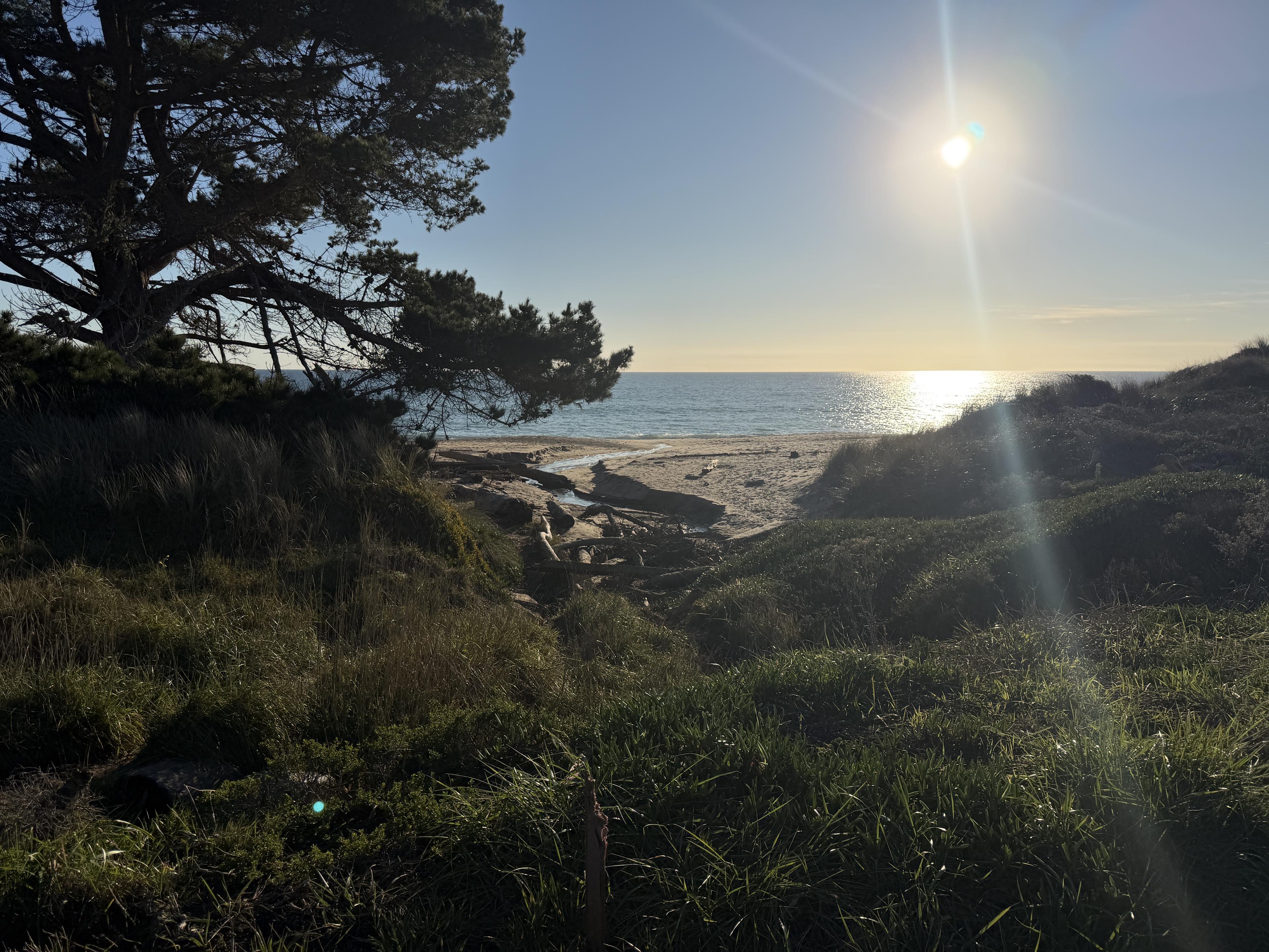 Nature hike in Pt Reyes
